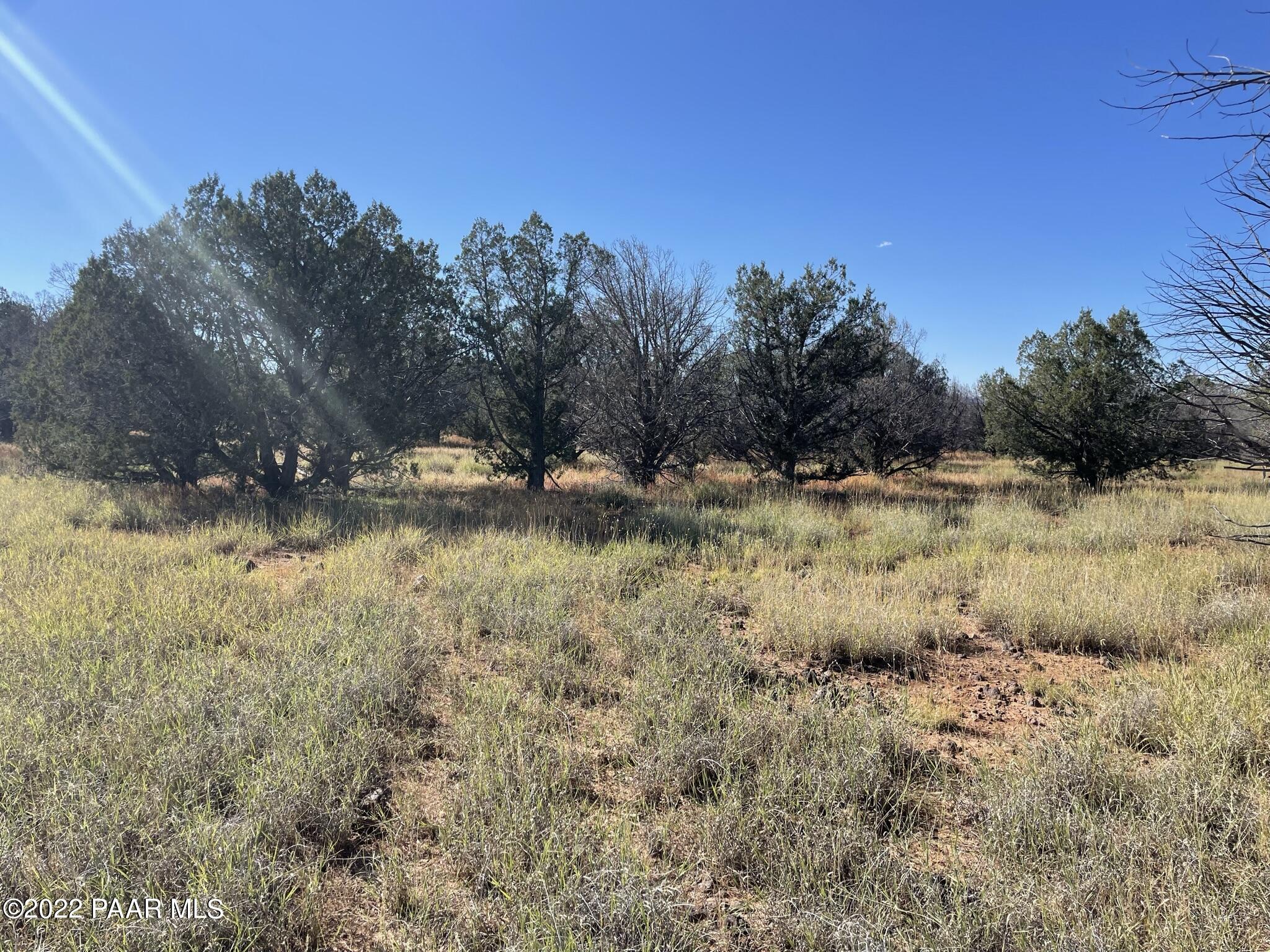 6675 Hideaway Road Williams, AZ 86046 - Photo 3 of 10 IMG_3856