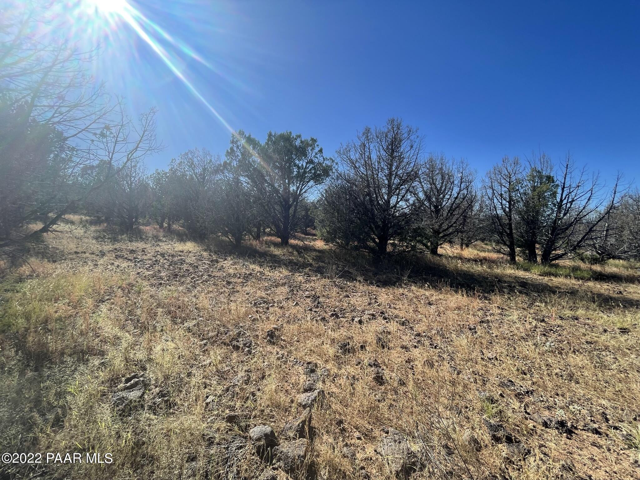 6675 Hideaway Road Williams, AZ 86046 - Photo 5 of 10 IMG_3859
