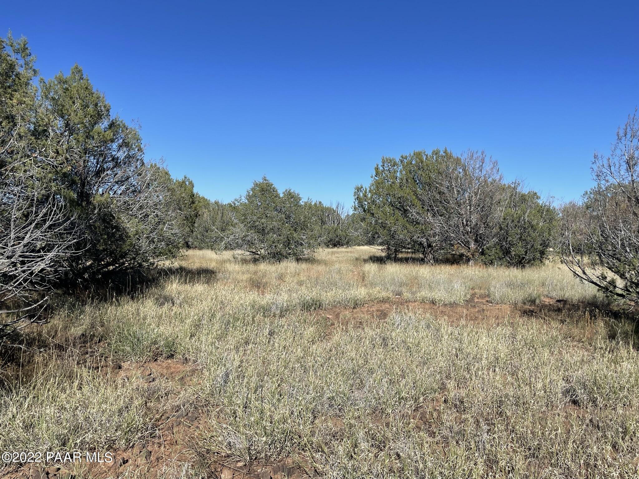 6675 Hideaway Road Williams, AZ 86046 - Photo 9 of 10 IMG_3868