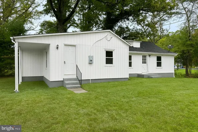 a backyard of a house with plants and large tree