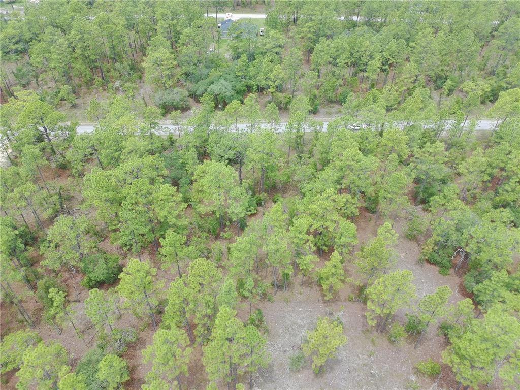 Southwest Buena Vista Road Dunnellon, FL 34431 - Photo 7 of 8