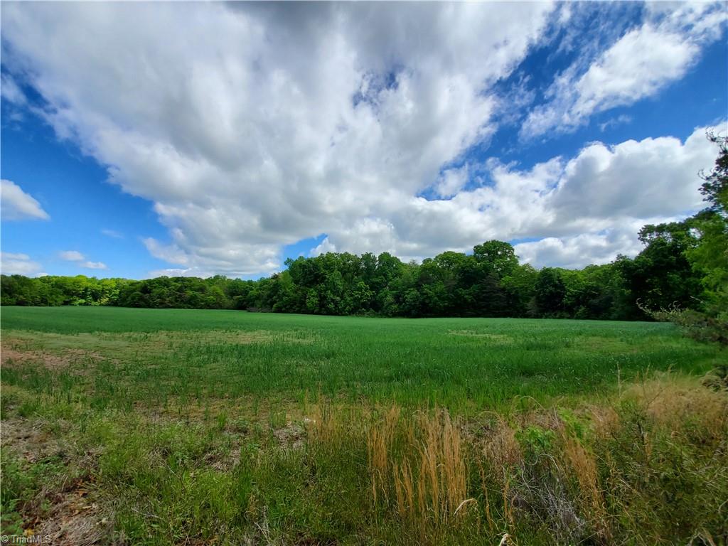 0 Edgar Road High Point, NC 27263 - Photo 11 of 23 Gallery Image 11