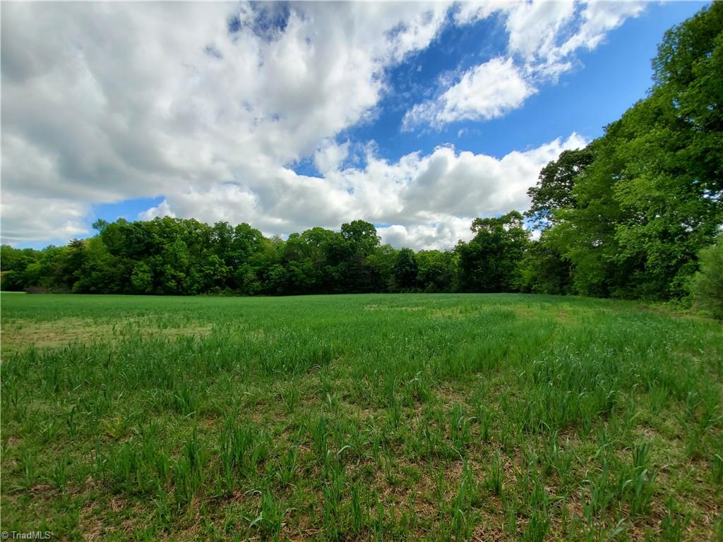 0 Edgar Road High Point, NC 27263 - Photo 10 of 23 Gallery Image 10