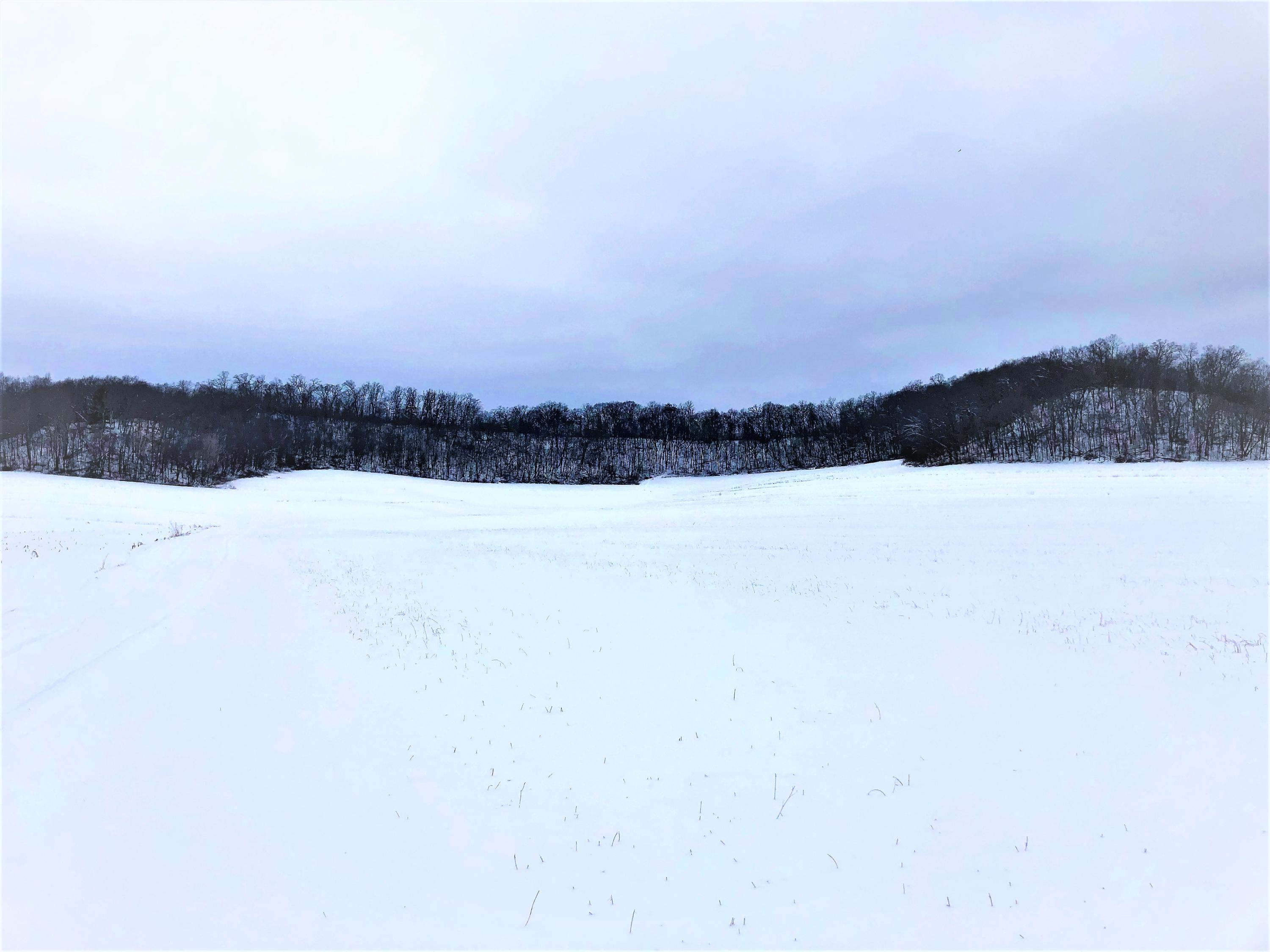 0 McKinley Valley Road West Salem, WI 54669 - Photo 1 of 1 0 mckinley rd pic 2