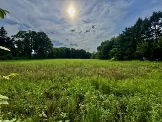 $220,000 | V/l Mead Road, Buchanan, MI 49107