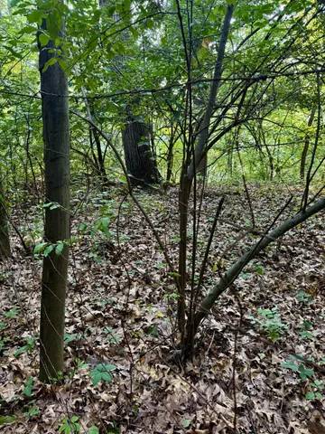 $220,000 | V/l Mead Road, Buchanan, MI 49107