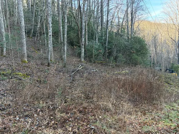 $100,000 | 0 Choga Trail, Topton, NC 28781