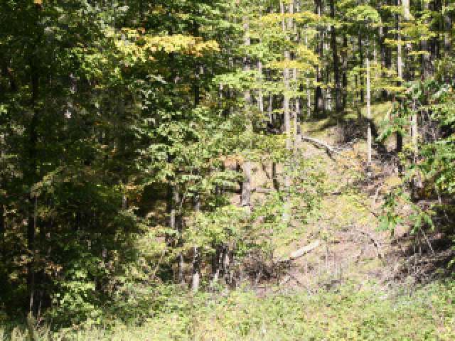 On Hedin Road Ogema, WI 54459 - Photo 6 of 7 Gallery Image 6