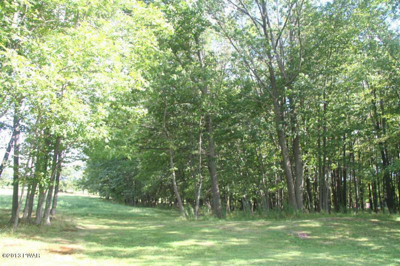 263 Lake Quinn Road Waymart, PA 18472 - Photo 35 of 50