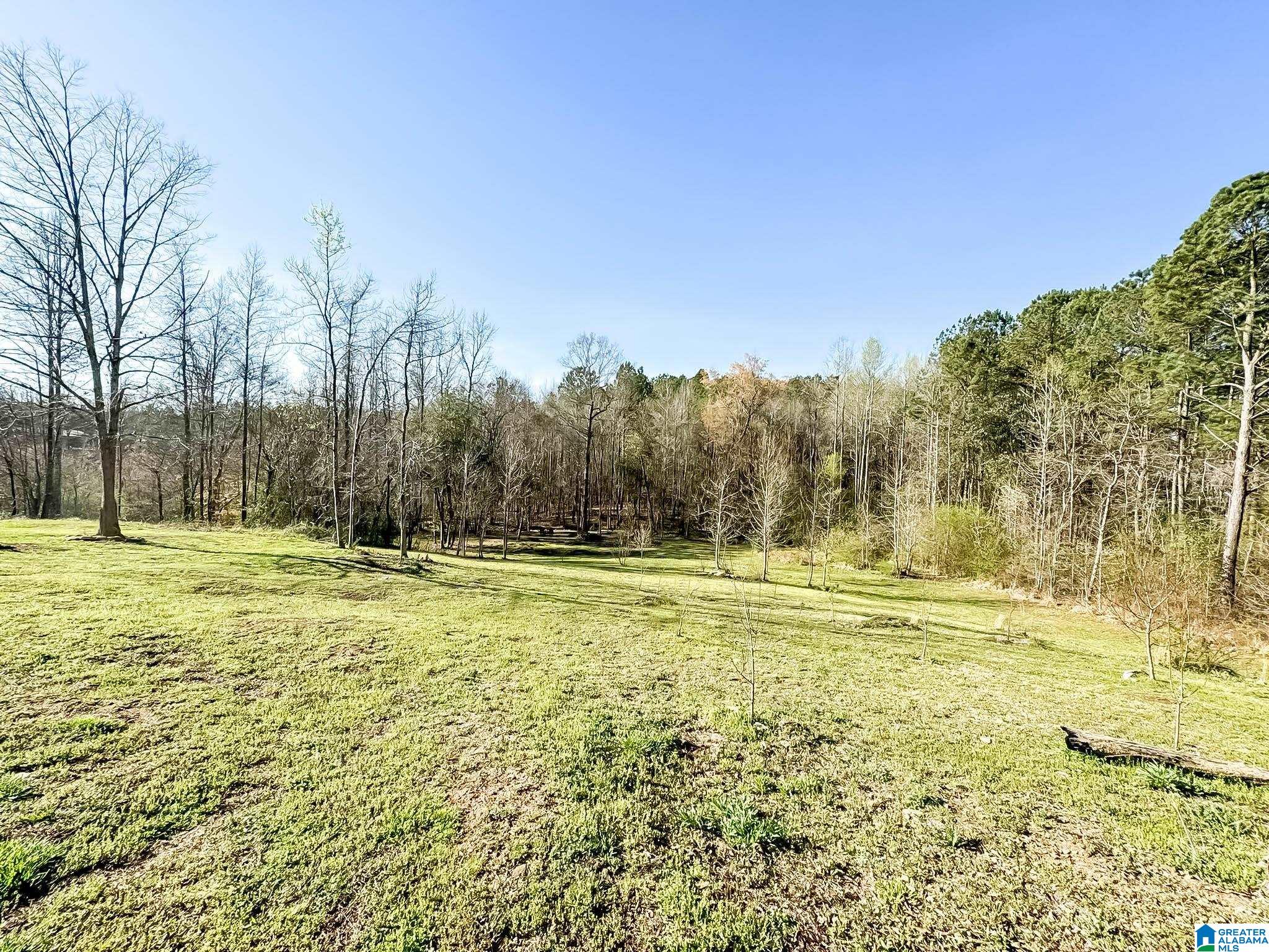 120 Poplar Ridge Ashland, AL 36251 - Photo 49 of 50
