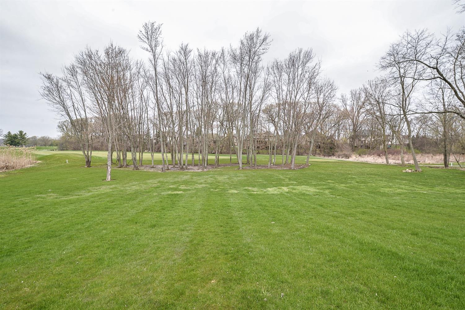 4938 West Liberty Road Ann Arbor, MI 48103 - Photo 51 of 58 Photo 51