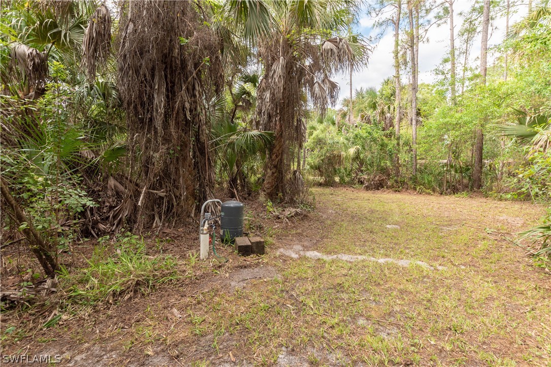 3990 Staley Road Fort Myers, FL 33905 - Photo 11 of 35 a view of a yard with a tree