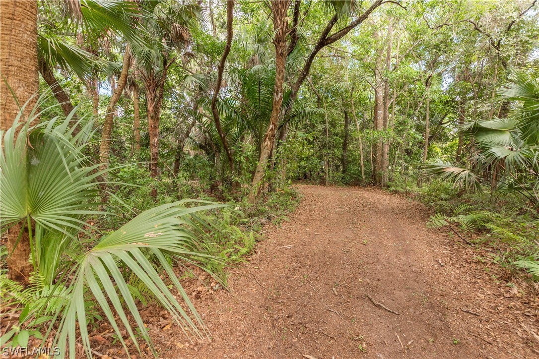 3990 Staley Road Fort Myers, FL 33905 - Photo 12 of 35 a view of a plants with a tree