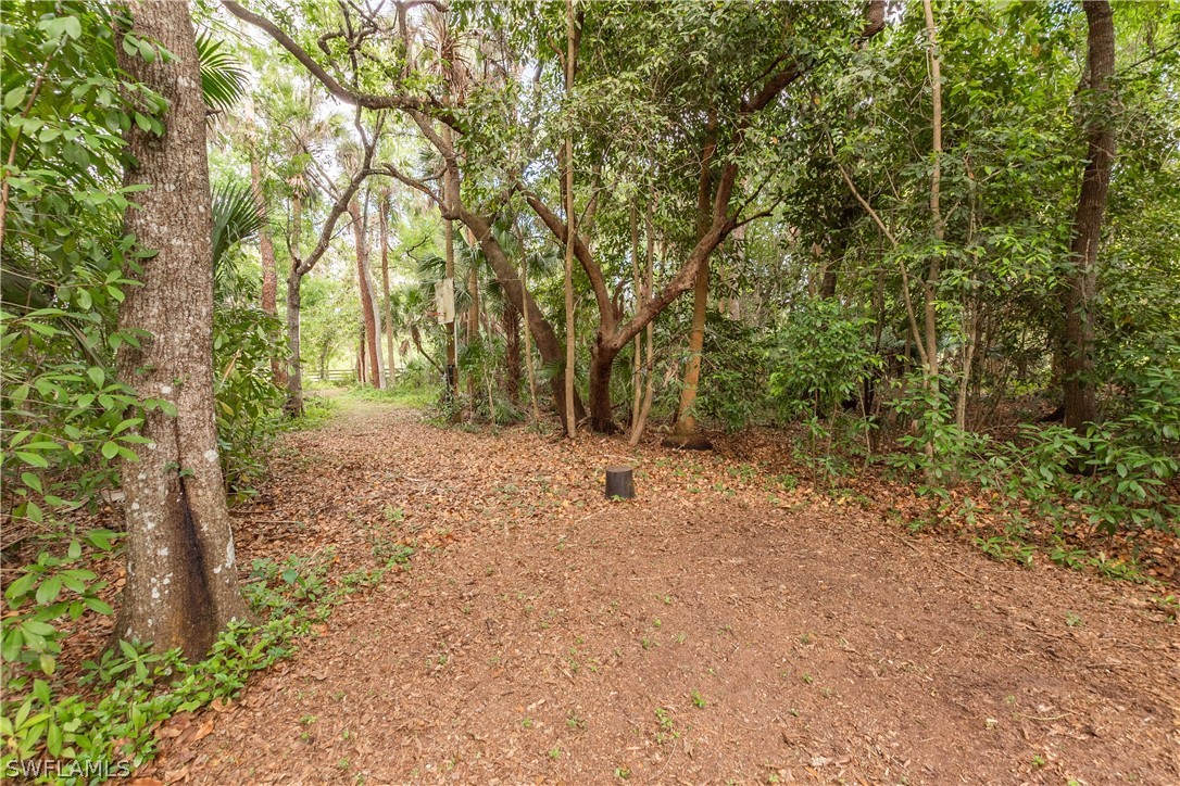 3990 Staley Road Fort Myers, FL 33905 - Photo 13 of 35 a view of a forest with trees in the background