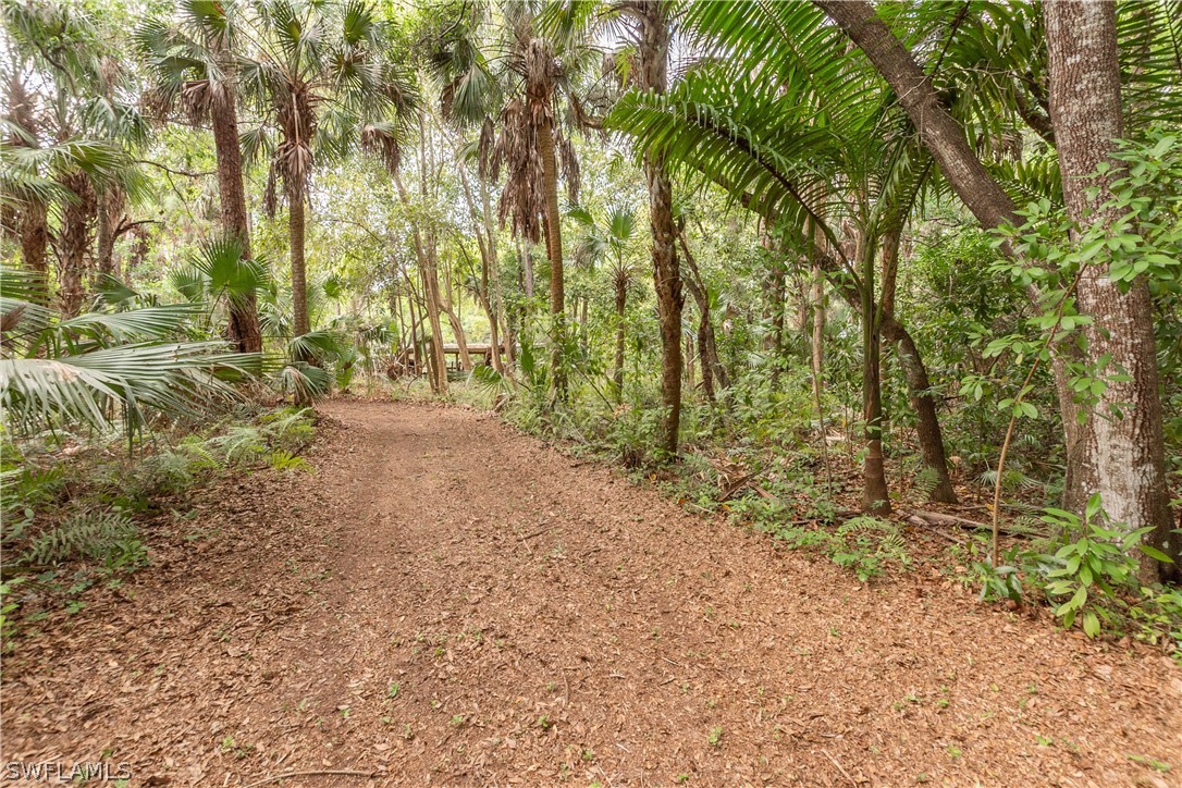3990 Staley Road Fort Myers, FL 33905 - Photo 14 of 35 a view of backyard with green space