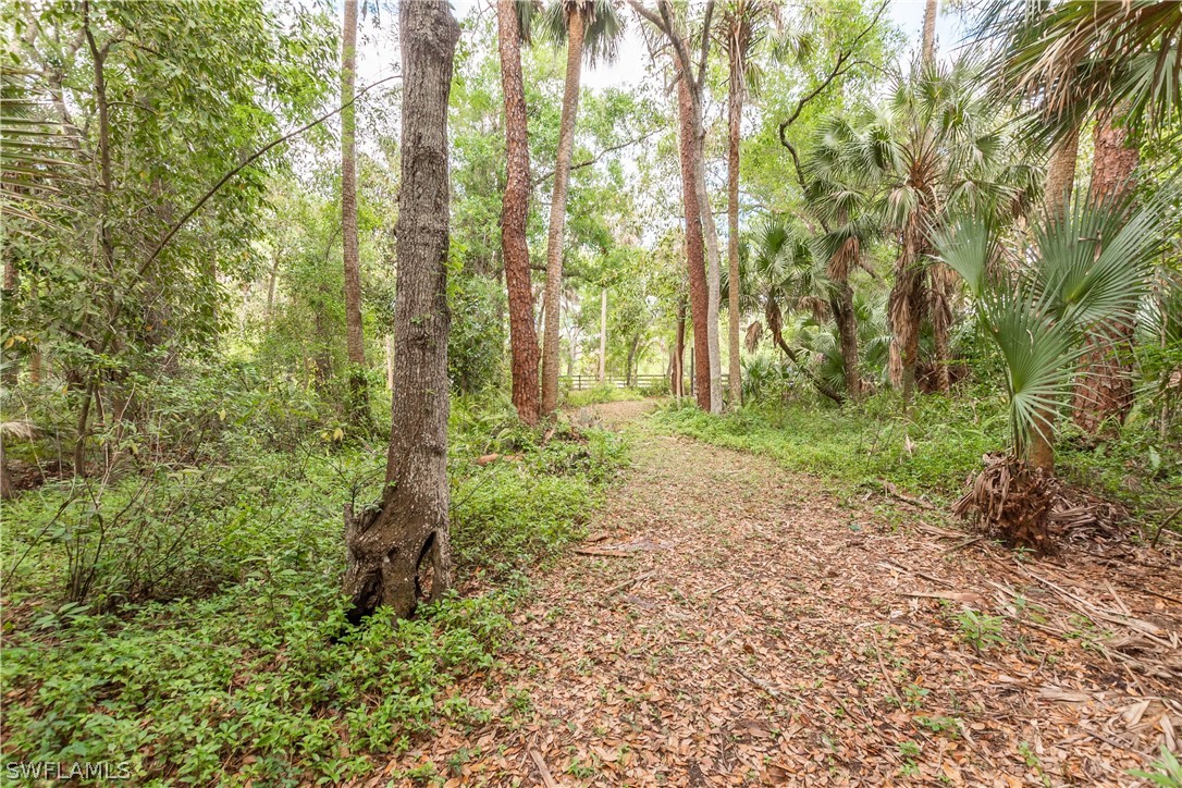 3990 Staley Road Fort Myers, FL 33905 - Photo 15 of 35 a big yard with lots of green space and trees