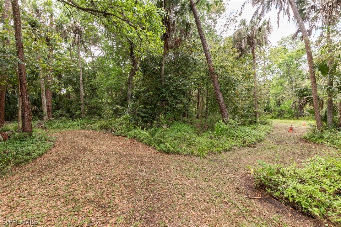3990 Staley Road Fort Myers, FL 33905 - Photo 17 of 35 a view of a forest with trees