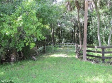 3990 Staley Road Fort Myers, FL 33905 - Photo 21 of 35 a view of green field with trees in the background