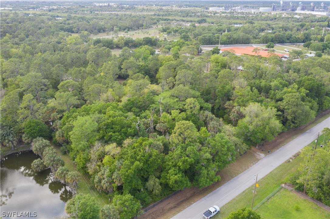 3990 Staley Road Fort Myers, FL 33905 - Photo 22 of 35 a view of a forest with a houses