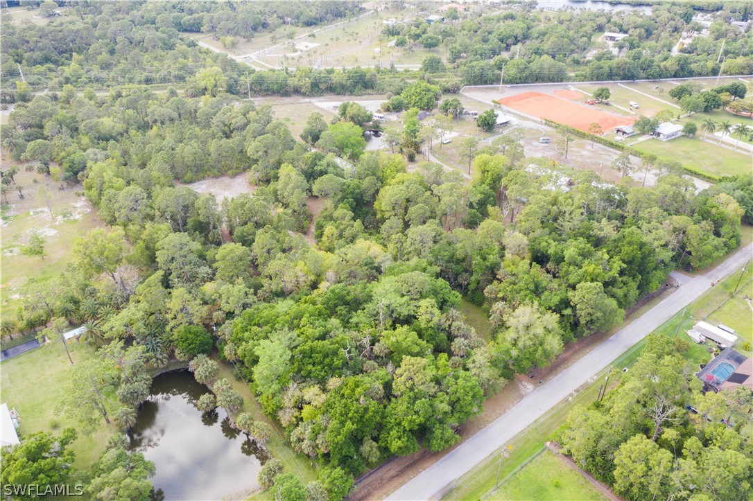 3990 Staley Road Fort Myers, FL 33905 - Photo 23 of 35 a view of a garden with a plant