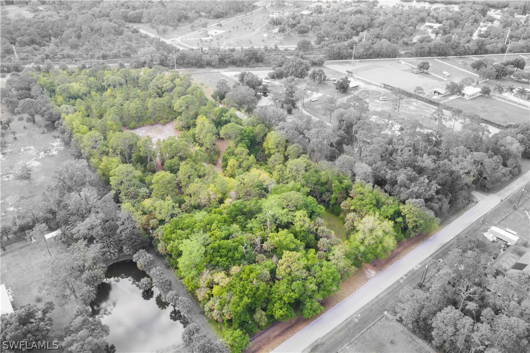3990 Staley Road Fort Myers, FL 33905 - Photo 24 of 35 a view of a garden with a plant