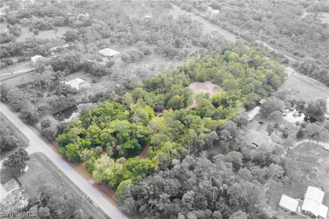 3990 Staley Road Fort Myers, FL 33905 - Photo 26 of 35 a view of a garden with a plant