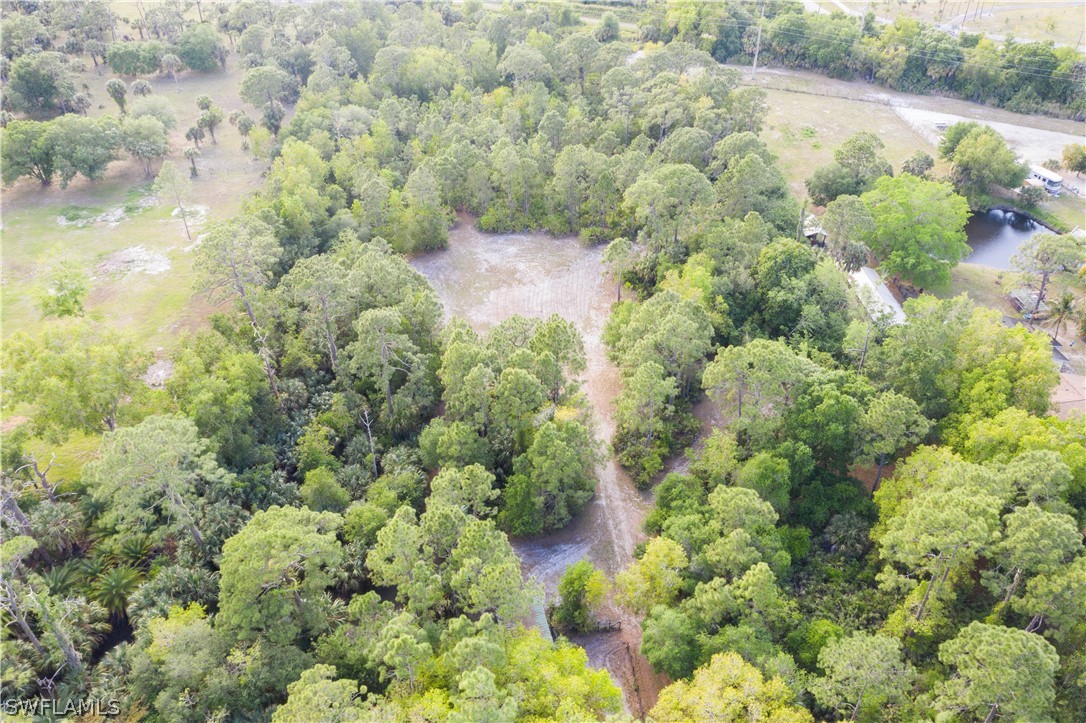 3990 Staley Road Fort Myers, FL 33905 - Photo 35 of 35 a view of a forest with a tree