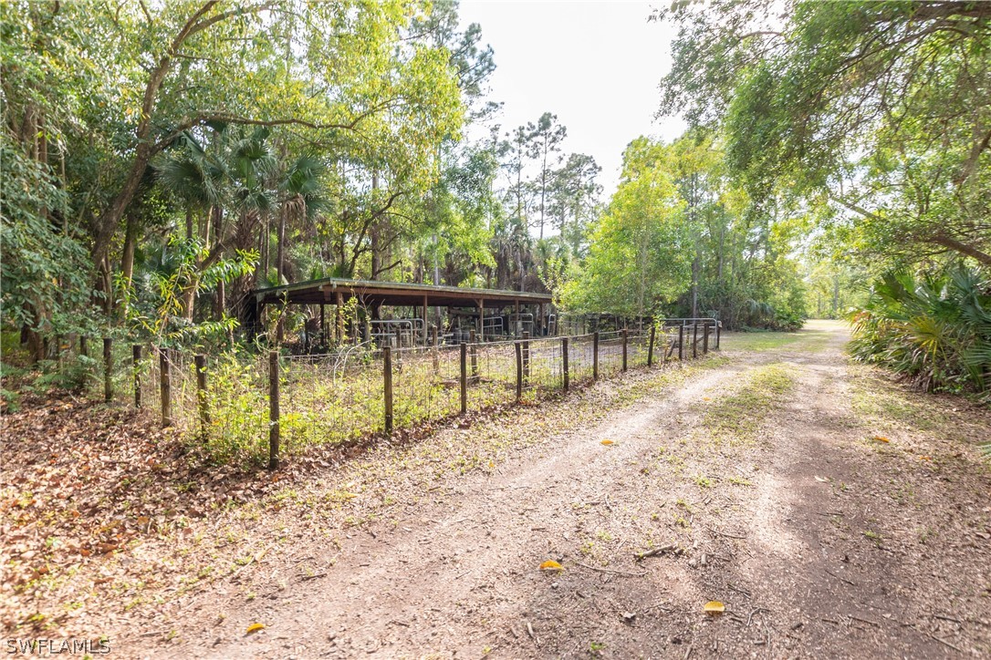 3990 Staley Road Fort Myers, FL 33905 - Photo 4 of 35 a view of park with large trees
