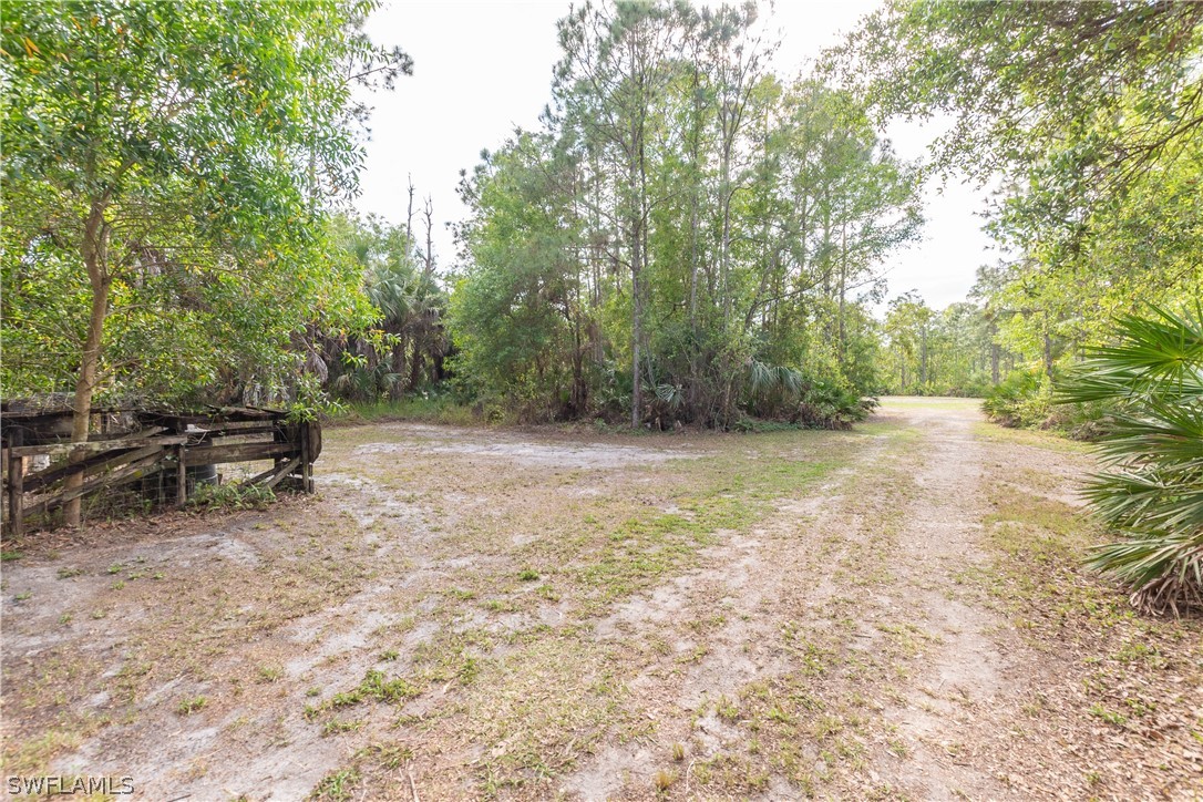 3990 Staley Road Fort Myers, FL 33905 - Photo 5 of 35 a view of backyard with lawn chairs and large trees