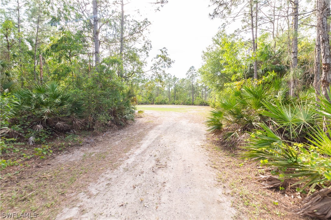 3990 Staley Road Fort Myers, FL 33905 - Photo 7 of 35 a view of a yard with plants and trees