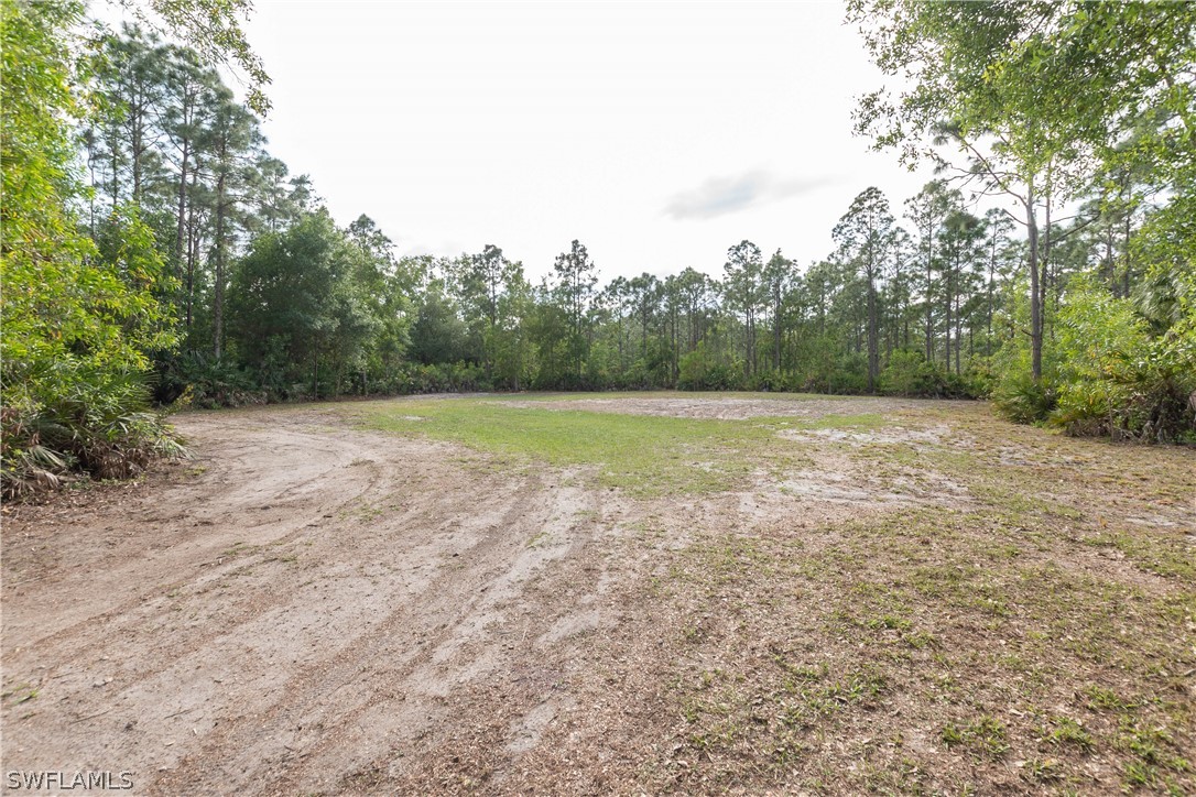 3990 Staley Road Fort Myers, FL 33905 - Photo 8 of 35 a view of a field with trees in the background