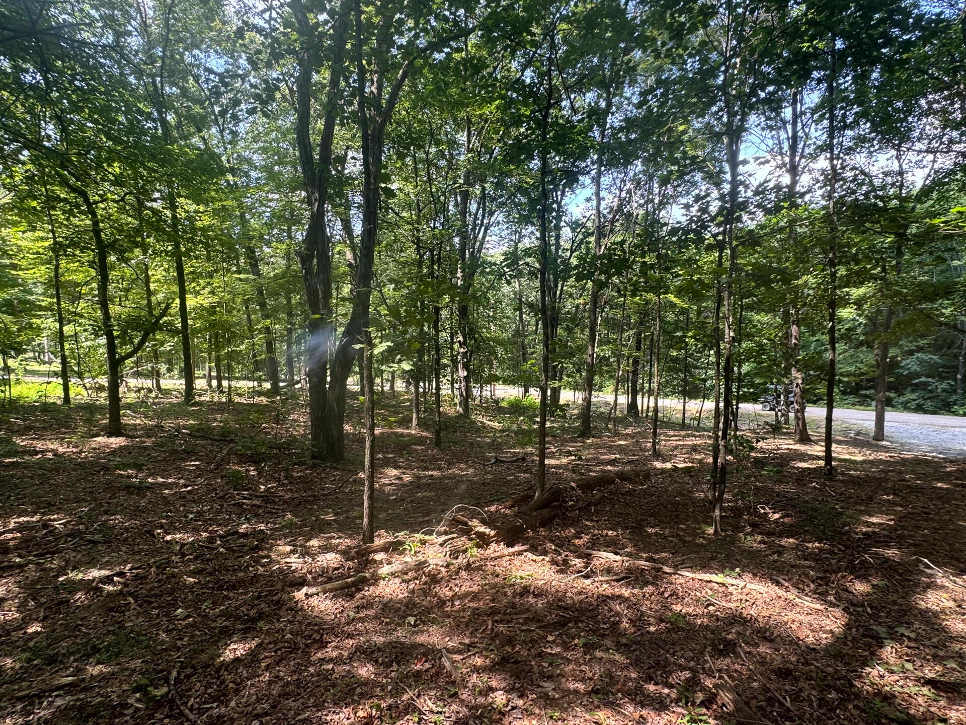 286 Golf Course Road, Unit TRACT 7 SKYLINEACRES) Waverly, OH 45690 - Photo 10 of 46 CT-10