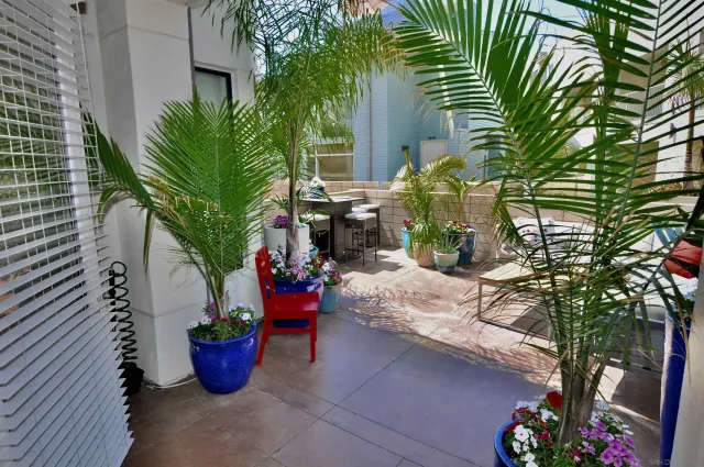 a potted plant sitting in front of a house