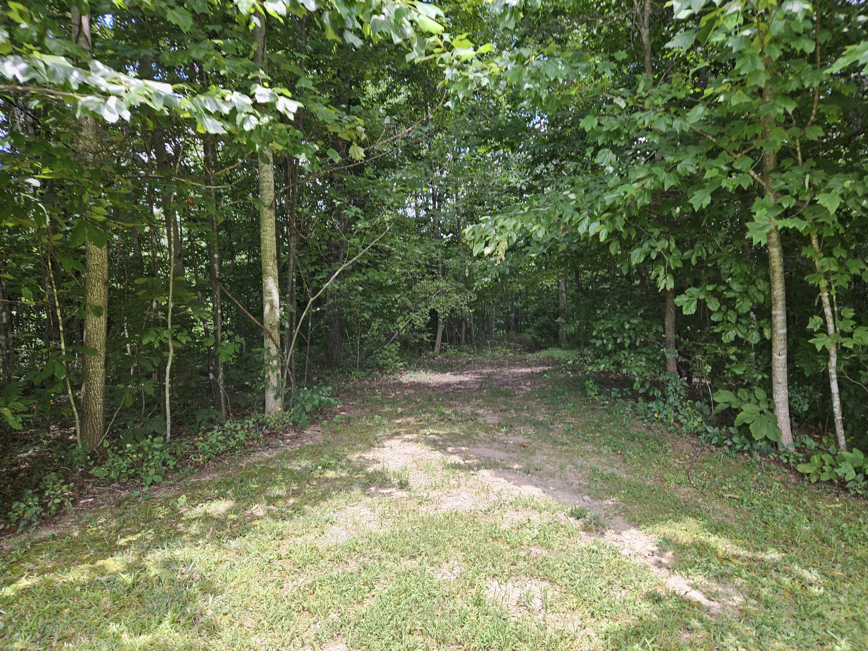 1775 Dry Ridge Road Liberty, KY 42539 - Photo 70 of 83 20250726_132440