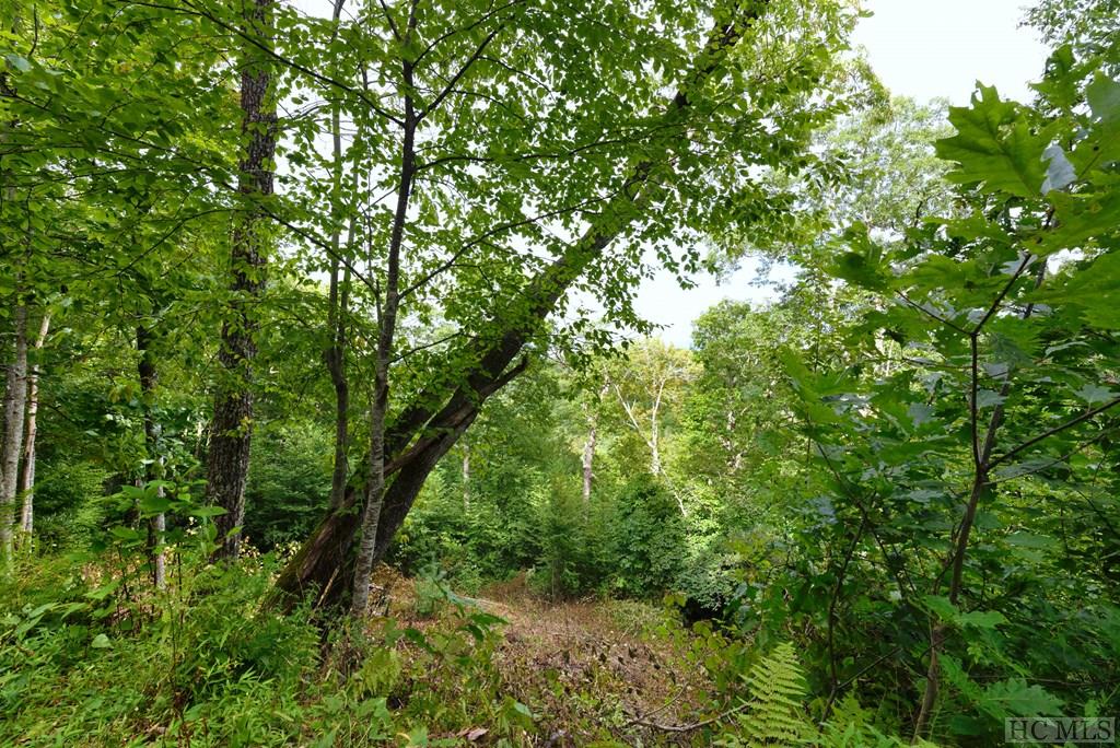 45-48 Satulah Ridge Road Highlands, NC 28741 - Photo 4 of 17 Gallery Image 4