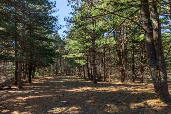 $300,000 | W8179 Eagle Drive, Oxford, WI 53952