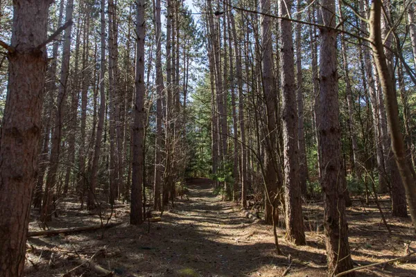 $300,000 | W8179 Eagle Drive, Oxford, WI 53952