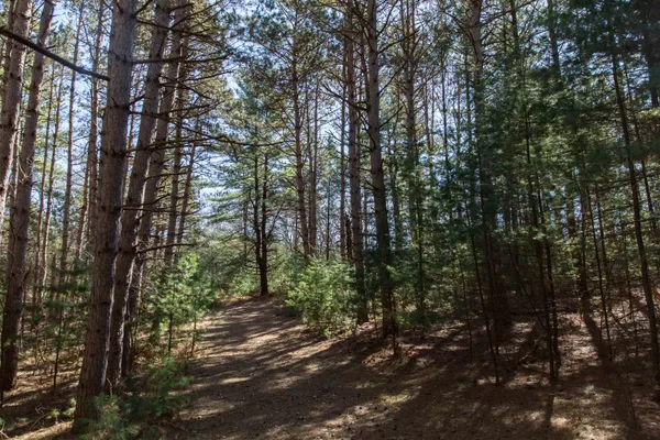 $300,000 | W8179 Eagle Drive, Oxford, WI 53952