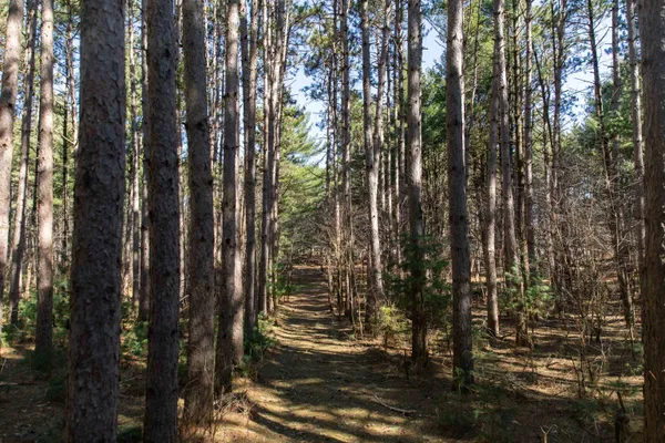 $300,000 | W8179 Eagle Drive, Oxford, WI 53952