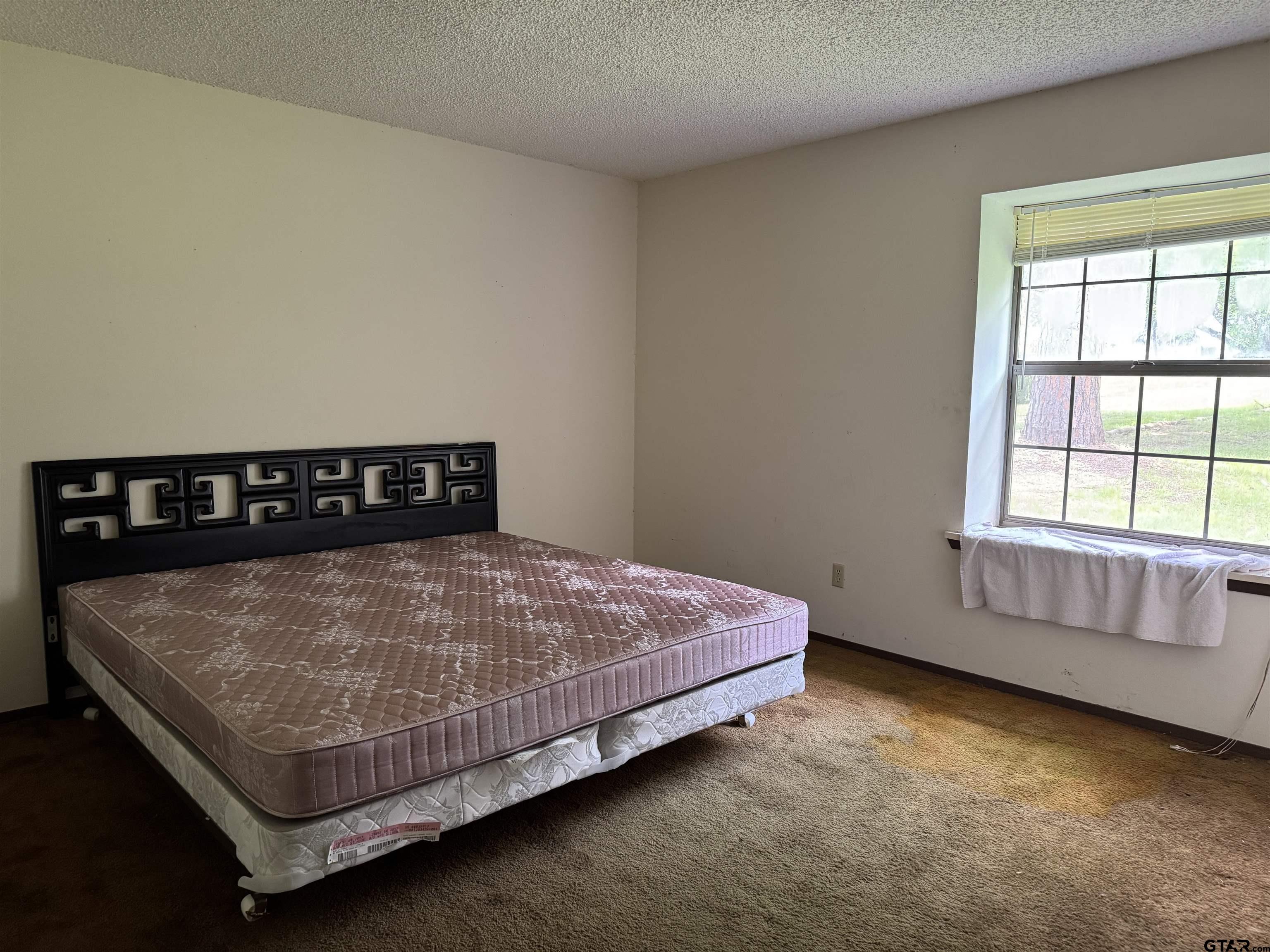 289 Llano Bend Holly Lake Ranch, TX 75765 - Photo 9 of 48 a bed sitting in a bedroom next to a window