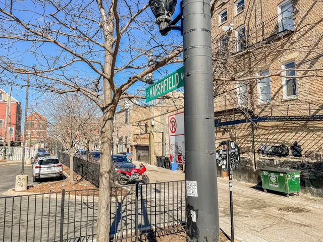 $1,190,000 | 1714 South Ashland Avenue, Chicago, IL 60608