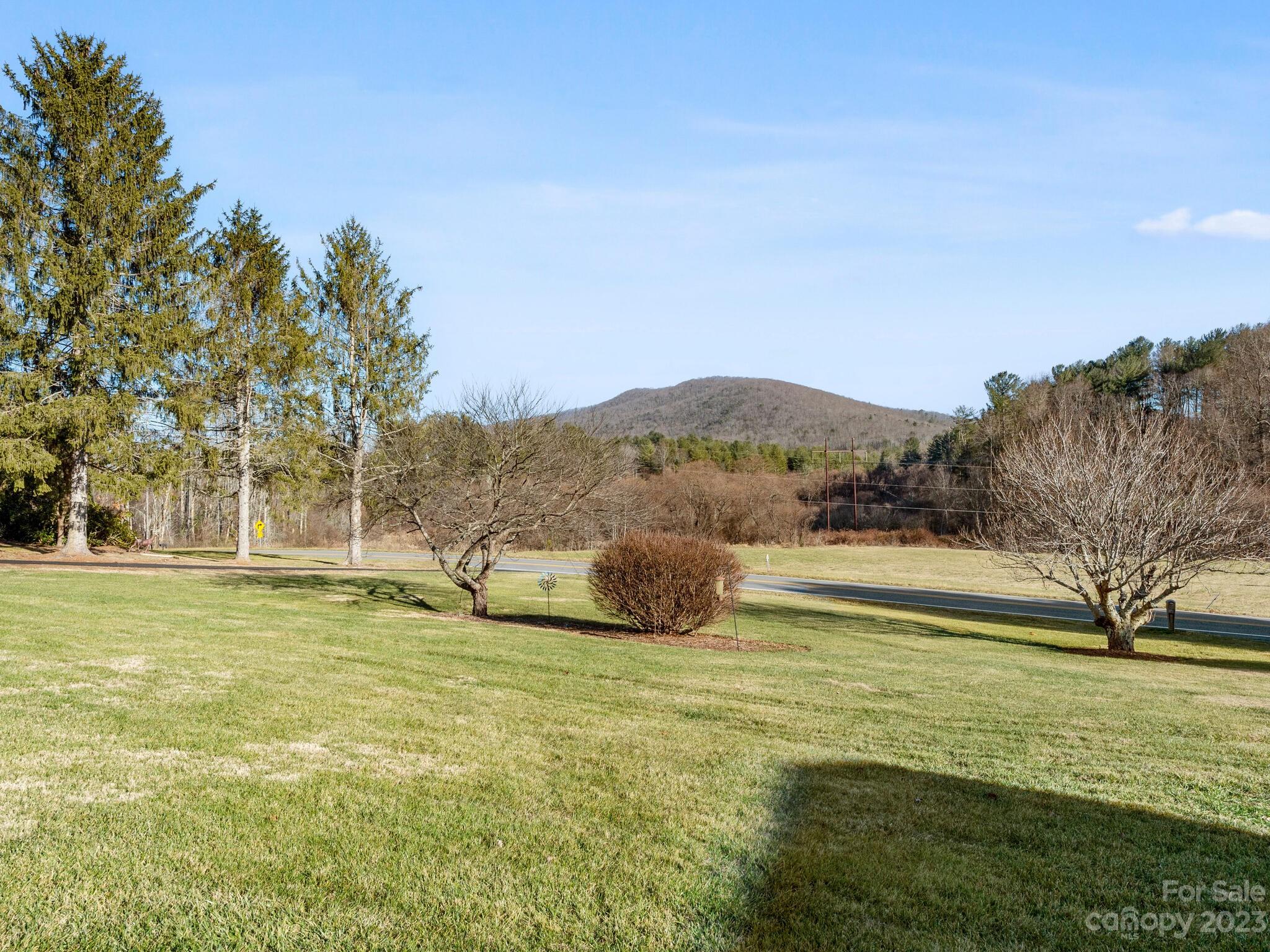 438 Case Cove Road Candler, NC 28715 - Photo 29 of 32 Gallery Image 29