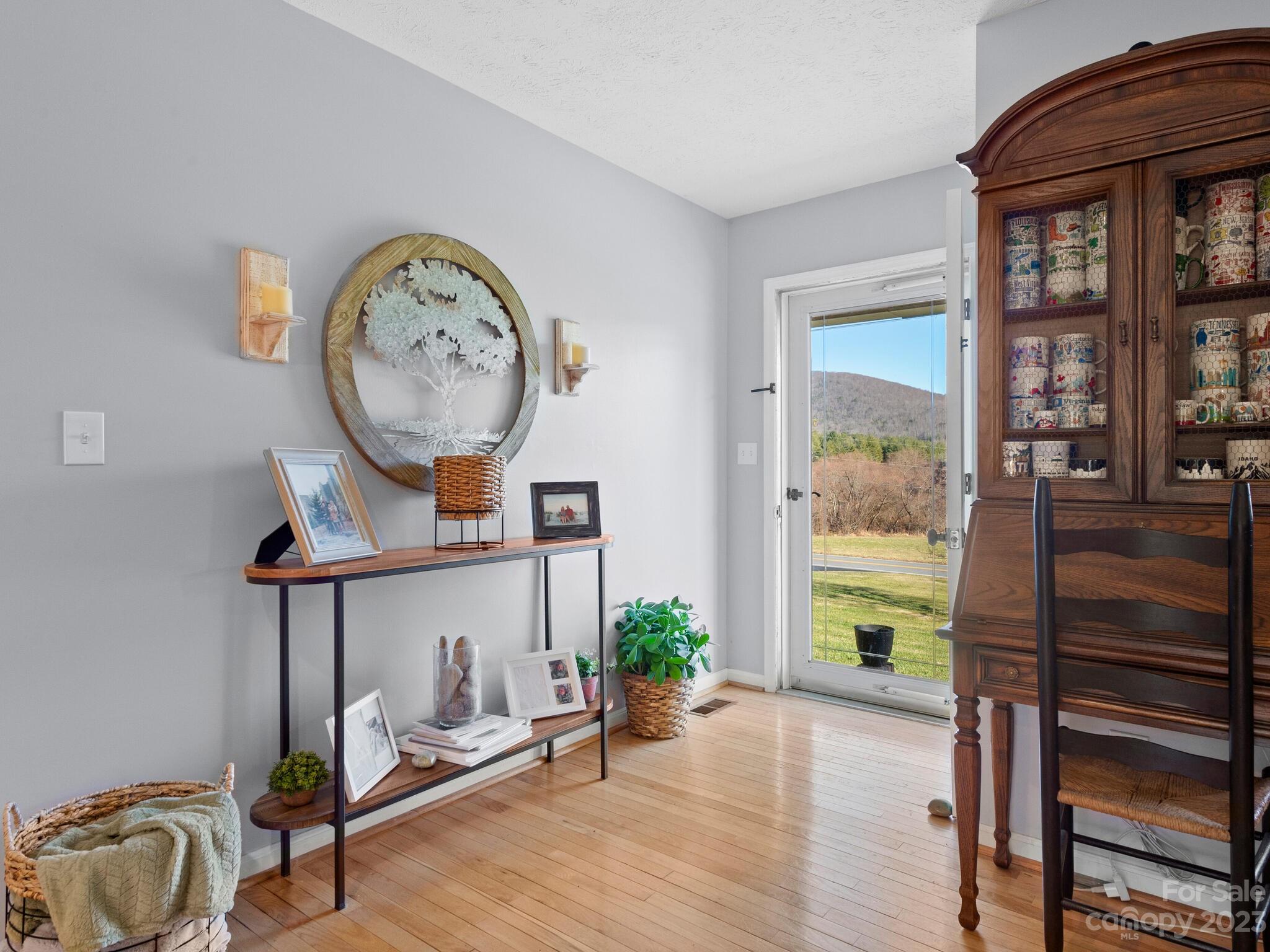 438 Case Cove Road Candler, NC 28715 - Photo 3 of 32 Gallery Image 3