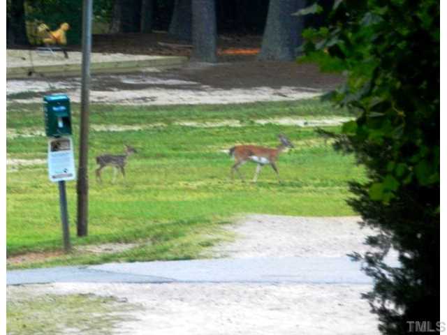 2200 Dahlgreen Road Raleigh, NC 27615 - Photo 14 of 17 Wildlife in Durant Nature Park
