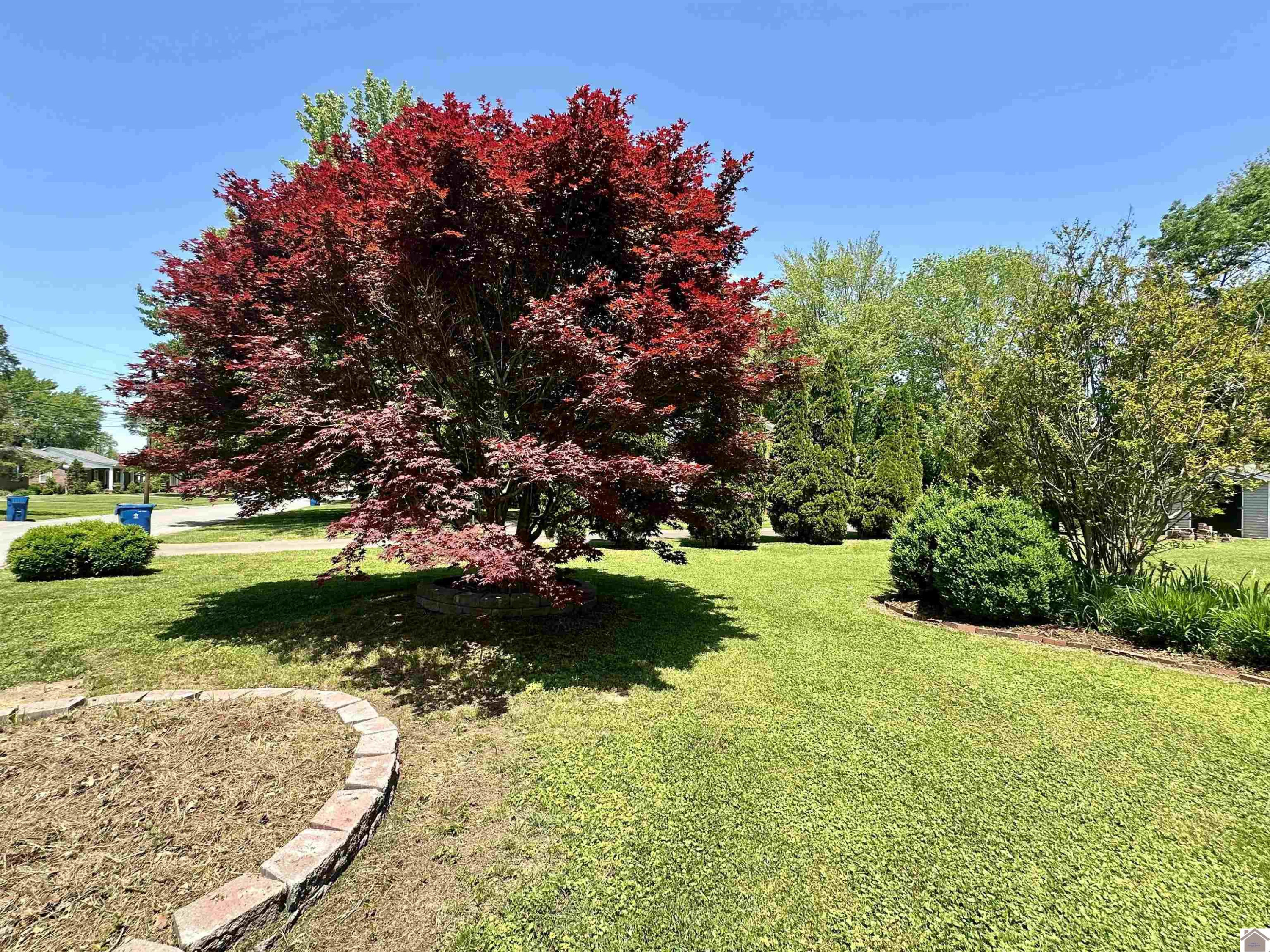 1806 College Farm Road Murray, KY 42071 - Photo 33 of 43 Photo 33