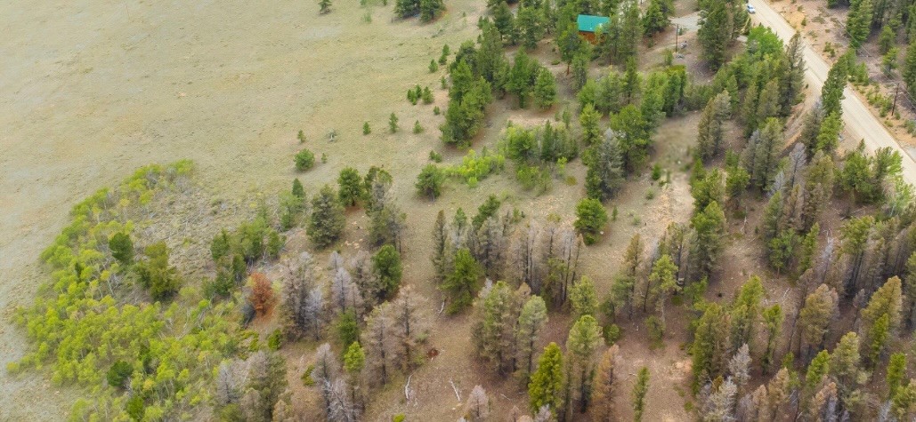 31663 Redhill Road Fairplay, CO 80440 - Photo 8 of 8