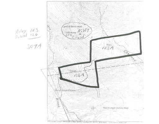 0 White Brook Road Bethel, ME 04217 - Photo 2 of 2 Land/Lot.