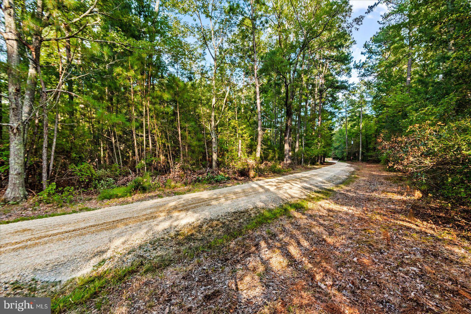2355 Mathias Point Road King George, VA 22485 - Photo 86 of 88 Gallery Image 86