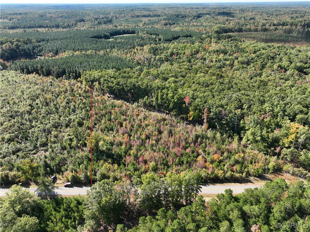 3.15-ac Tomlinson Road Victoria, VA 23974 - Photo 3 of 10 an aerial view of forest