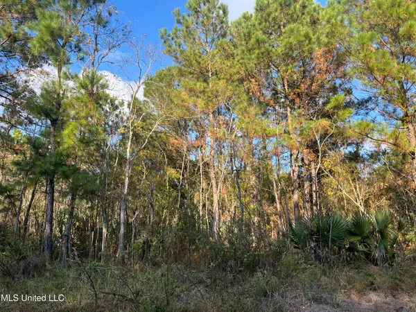 $6,000 | Marigold St Street, Bay St. Louis, MS 39520